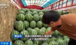 热点吃瓜,吃瓜群众如何解读明星事件